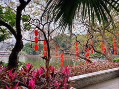 -荔湾湖公园