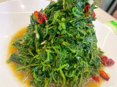 -阿玥凉手抓(宁东中凯中心广场店)