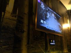 -麦霸KTV(光谷店)