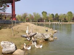 -木兰水镇旅游景区