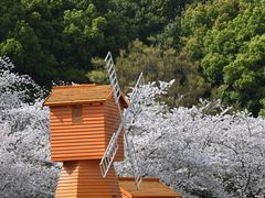 -苏州上方山国家森林公园