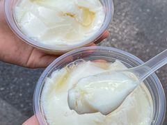 -鼎香皇高佬苏裹蒸粽