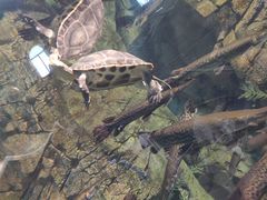 -波塞冬旅游度假区