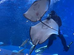 -成都浩海立方海洋公园