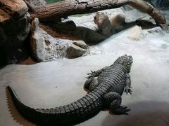 android_upload_pic-上海大自然野生昆虫馆