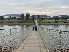 -羊亭河湿地公园