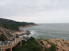 -广东惠东海龟国家级自然保护区