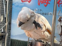 -四海楼(如皋定慧禅寺店)