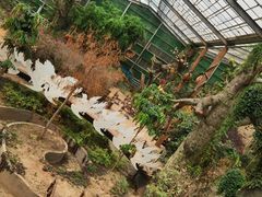 -呀路古热带植物园
