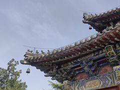 -洛阳白马寺