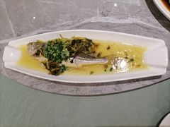 雪菜蒸深海大黄鱼-老绍兴养和饭店(向阳不夜城店)