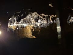 -怀托摩萤火虫洞