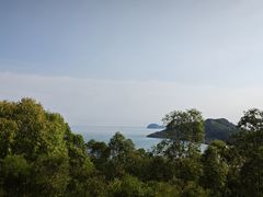 -广东惠东海龟国家级自然保护区