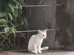 -荔湾湖公园