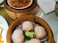 -南枝记