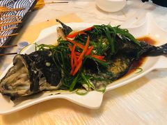 清蒸石斑鱼-桥东喜碧海鲜街(水东街店)