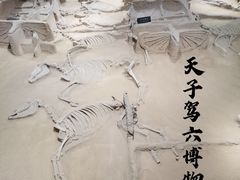 -洛阳周王城天子驾六博物馆