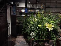 -Apollo·西班牙小酒馆(安福路店)