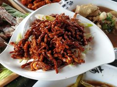 -草根堂农场