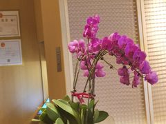 -莆田餐厅PUTIEN(西安万象天地店)