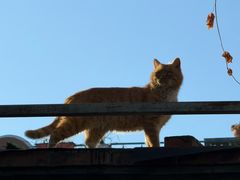 -METAL HANDS(五道营店)