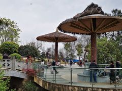 -铁山坪森林公园