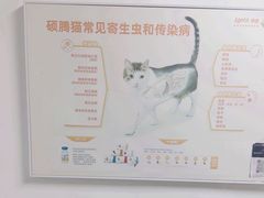 -宠颐生宠物医院外科·内科·皮肤科·影像科(石龙店)