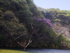 -少华山国家森林公园