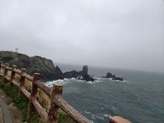 -涉地可支