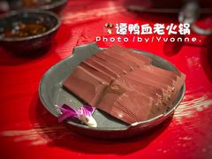 -谭鸭血老火锅(漳州路店)