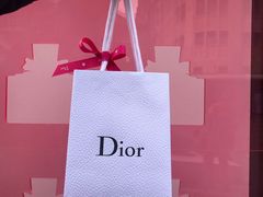 -Dior迪奥(上海世茂广场店)