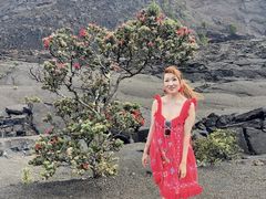 -夏威夷火山国家公园