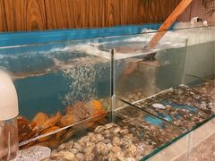 水产区-星璨·自助餐厅-厦门禹洲温德姆至尊豪廷大酒店