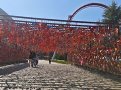 -七彩云南欢乐世界