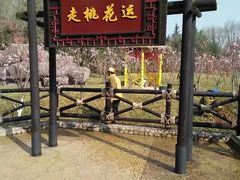 -芜湖方特东方神画