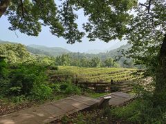 -西湖风景区十里琅珰-五云山
