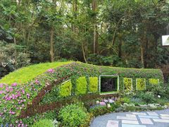 -深圳仙湖植物园