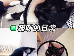 -立德动物医院·异宠·CT·鹦鹉(天河店)