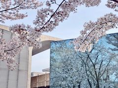 -龙美术馆(西岸馆)