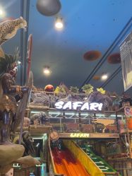 -卡通尼·Safari非洲探索乐园·生日会(金桥国际商业广场店)