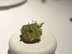 -Oyster Talks 四度蚝法餐厅