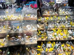 -青石桥花鸟鱼虫市场(叠翠城店)