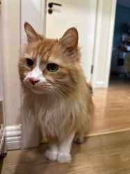 -沫儿·美甲美睫·半永久·皮肤管理