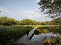 -西溪国家湿地公园