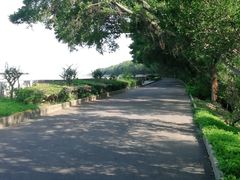 -大湾区中央湿地公园