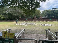 -上海野生动物园