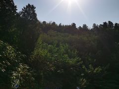 -红光山