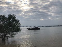 -宝安西湾红树林湿地公园