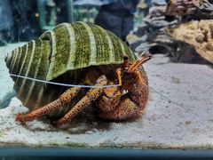 -太平洋海底世界