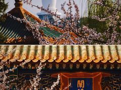 -北海公园